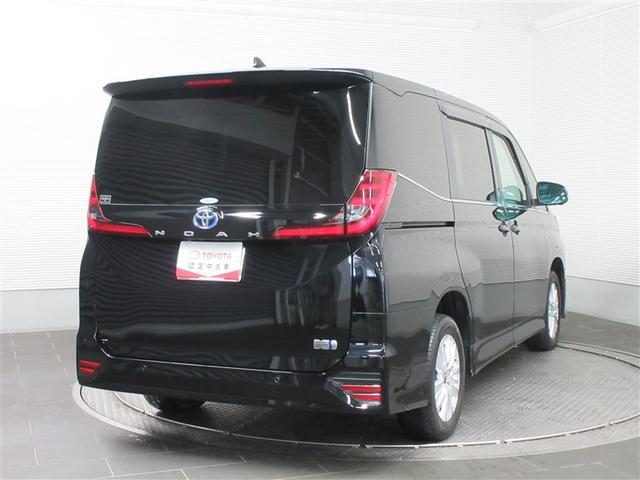 ���Ђ̐����m����������_���������Ă��n���������܂��̂ŁA�����S���������I