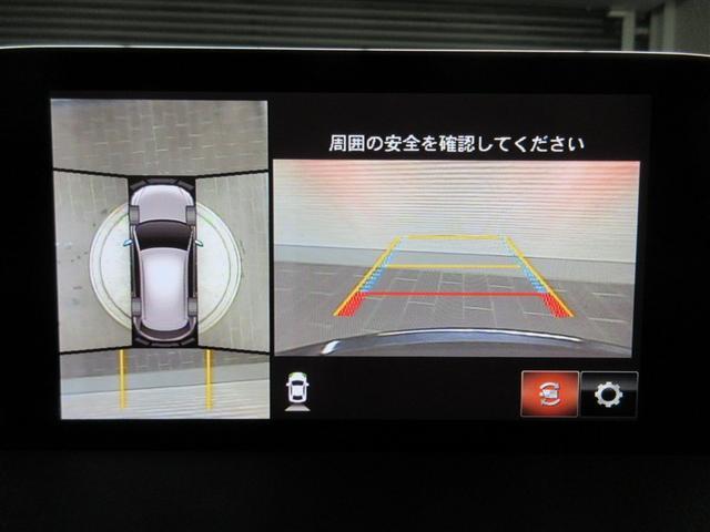 �}���`�r���[�o�b�N���j�^�[�K�C�h���C���t���ŎԌɓ�������S