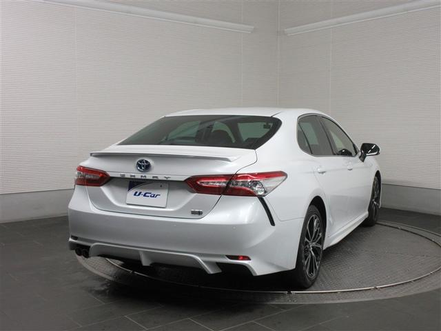 ���Ђ̐����m����������_���������Ă��n���������܂��̂ŁA�����S���������I