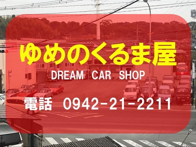 デュトロ 超ロング高床（44枚目）
