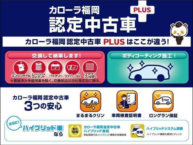 アクティバX リミテッド SAIII 予防安全装置付き メモリーナビ バックカメラ ロングラン保証1年(3枚目)
