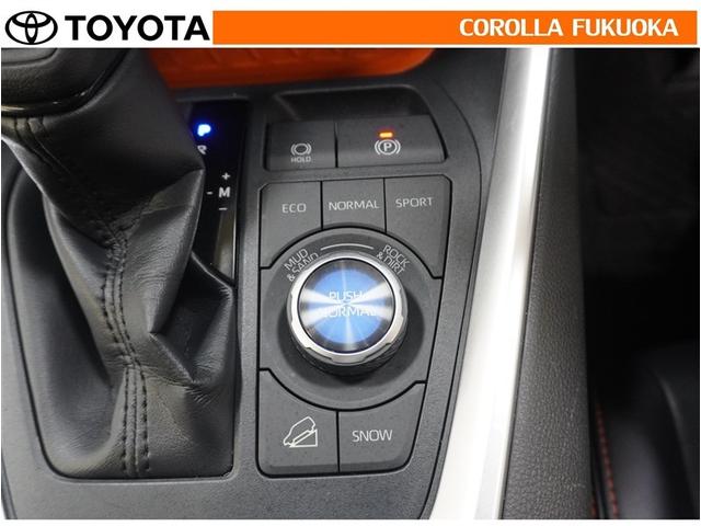 ＲＡＶ４ アドベンチャー　衝突被害軽減システム　サンルーフ　４ＷＤ　メモリーナビ　フルセグ　ＥＴＣ　バックカメラ　ドラレコ　ＣＤ　ＤＶＤ再生　キーレス　スマートキー　盗難防止装置（29枚目）