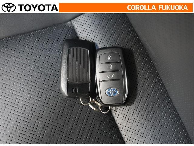 �g���^�J���[�������i���j�̍݌ɂ��������������L��������܂��B����Ƃ��������̒��A�X�������肢�\���グ�܂��B