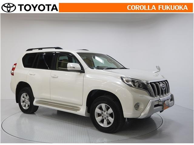 �X���ɂ��f����s��I�ȃX�^�C���I