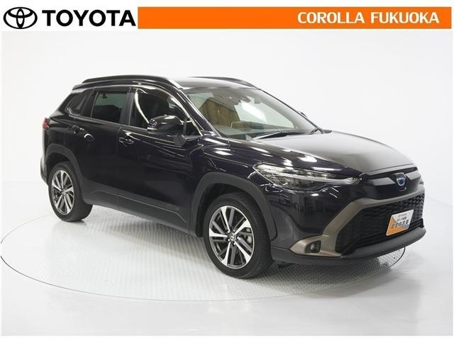 ������������S�I�����̓J���[�������T�[�r�X�F�؍H��ɂ��C�����������B