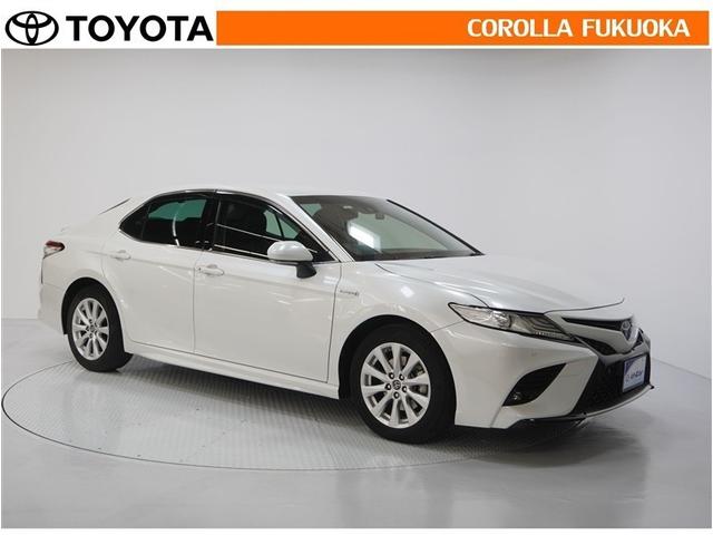 ������������S�I�����̓J���[�������T�[�r�X�F�؍H��ɂ��C�����������B