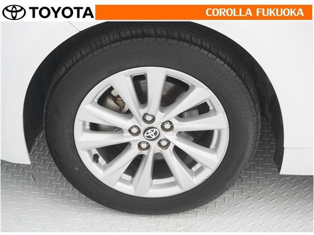 ���q�l�̃J�[���C�t���T�|�[�g�I���S�A���S�����b�g�[�ɁA���̂��Ԃ̔[�Ԏ��ɂ̓^�C�����S�{�V�i�����������܂��B