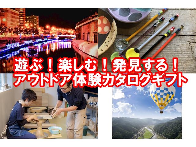 プラタナリミテッド 限定車 両側パワースライドドア ナビTV バックカメラ スマートキーレスキー 室内除菌済み(60枚目)