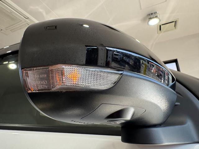 ライズ Z 純正ナビ フルセグ パノラミックビューモニター プッシュスタート ブラインドスポットモニター アダプティブクルーズコントロール(30枚目)