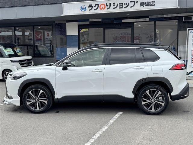 ���w�����T���I�C�������A���N���̒���_�������Ɩ����łł���