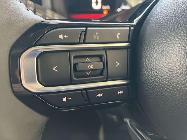 スペーシアカスタム ハイブリッドＸＳ　全方位モニター付きディスプレイオーディオ　両側パワースライドドア　アダプティブクルーズコントロール　フルセグＴＶ　ステアリングヒーター　シートヒーター（20枚目）