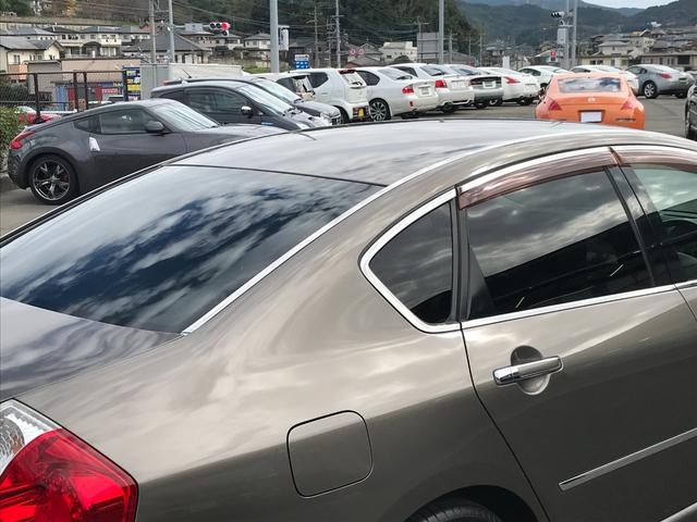 プライバシーガラス装備