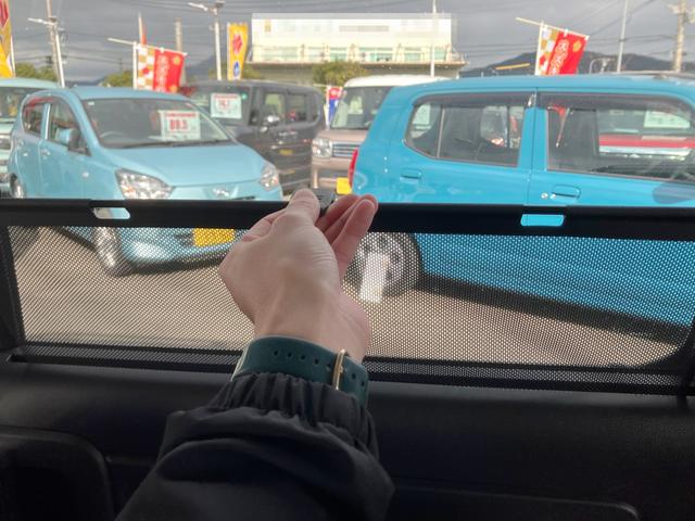 �����h�A�ɂ́A�����z�˂����玺�������y���[���T���V�F�[�h�z�t�B