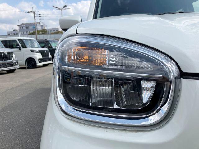 �������E�n�C���X�|���X�A��R��́y�k�d�c�w�b�h�����v�z�I