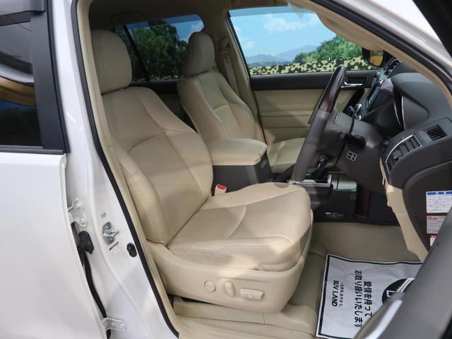 TZ-G メーカーSDナビ バックカメラ(11枚目)