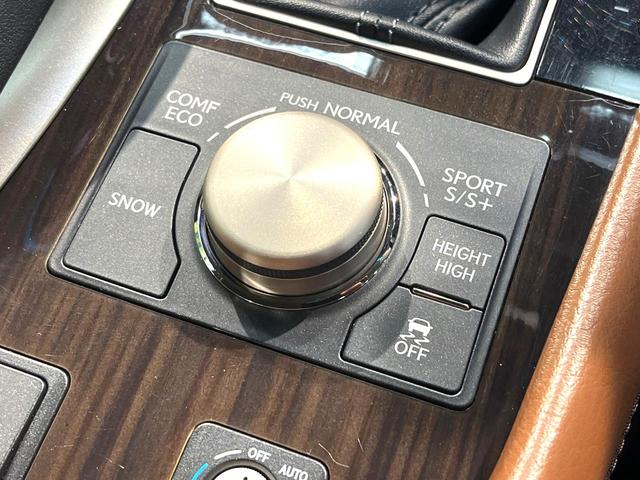 ＬＳ ＬＳ４６０　バージョンＣ　禁煙車　サンルーフ　メーカーナビ　レザーシート　メモリーシート　シートベンチレーション　クルコン　ドラレコ　フルセグ　バックカメラ　ＥＴＣ　ｂｌｕｅｔｏｏｔｈ　クルーズコントロール　クリアランスソナー（59枚目）