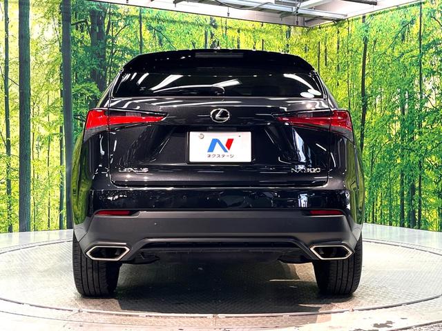 NX NX300 Iパッケージ 禁煙車 純正10.3型SDナビ バックカメラ 衝突被害軽減 ブラインドスポットモニター レーダークルーズ 電動リアゲート ETC ドラレコ Bluetooth ステアリングヒーター  LEDヘッド(16枚目)