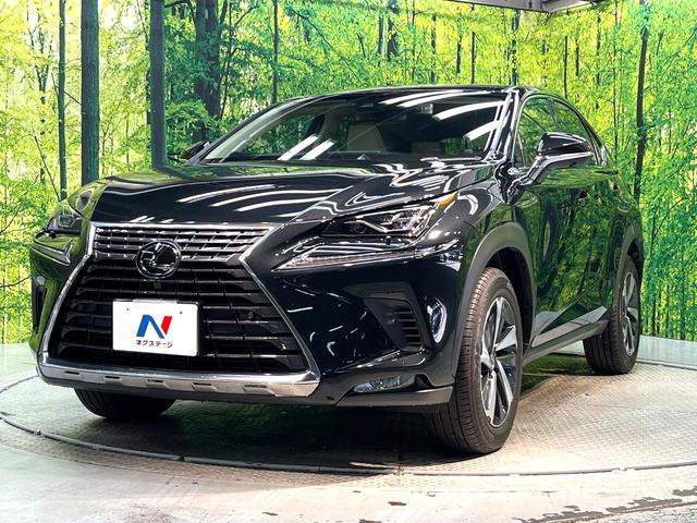 NX NX300 Iパッケージ 禁煙車 純正10.3型SDナビ バックカメラ 衝突被害軽減 ブラインドスポットモニター レーダークルーズ 電動リアゲート ETC ドラレコ Bluetooth ステアリングヒーター  LEDヘッド(28枚目)