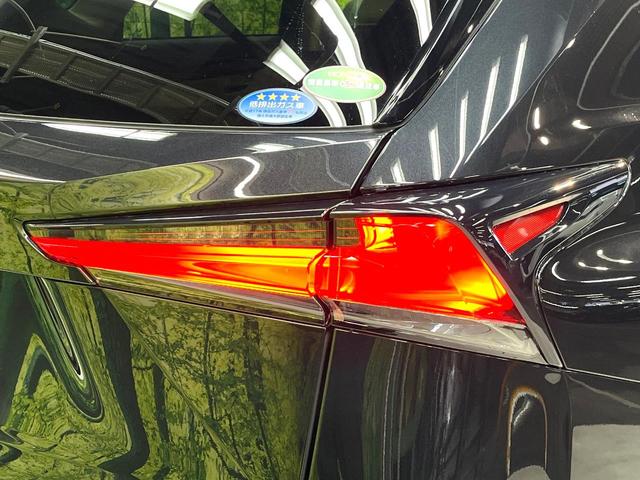 NX NX300 Iパッケージ 禁煙車 純正10.3型SDナビ バックカメラ 衝突被害軽減 ブラインドスポットモニター レーダークルーズ 電動リアゲート ETC ドラレコ Bluetooth ステアリングヒーター  LEDヘッド(48枚目)