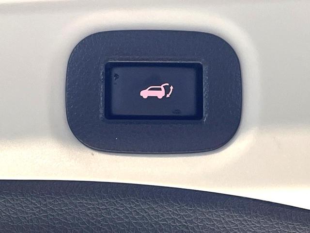 エクストレイル 20Xi ハイブリッド 禁煙車 衝突軽減システム プロパイロット 純正9インチナビ 全周囲カメラ フルセグ ドライブレコーダー ETC Bluetooth再生 デジタルインナーミラー ハーフレーザーシート パワーバックドア(30枚目)