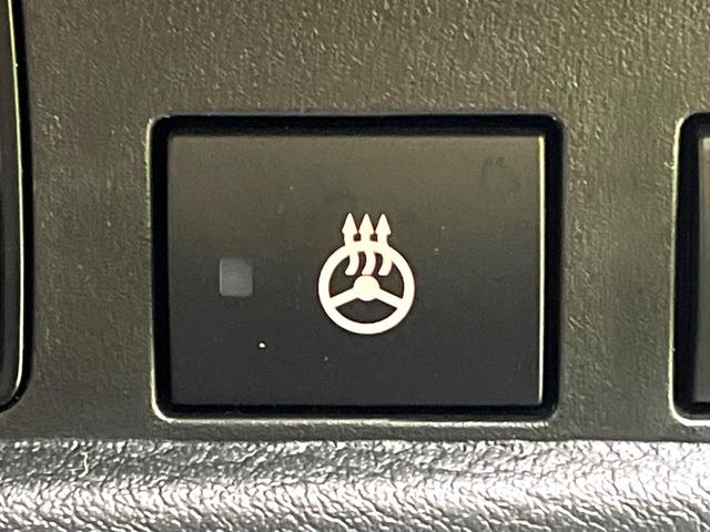 デリカミニ Ｔ　プレミアム　４ＷＤ　両側電動ドア　ＳＤナビ　全周囲カメラ　ｅ－アシスト　マイパイロット　禁煙車　ハーフレザーシート　ドラレコ　コーナーセンサー　ステアリングヒーター　スマートキー　ＬＥＤヘッド　ビルトインＥＴＣ（29枚目）