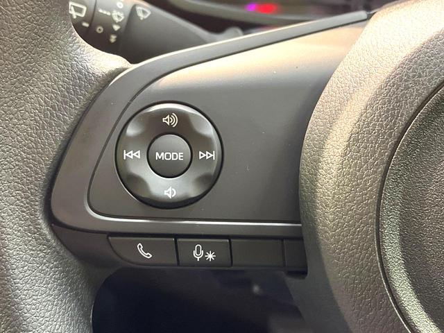 ライズ Ｘ　登録済未使用車　衝突被害軽減システム　コーナーセンサー　スマートキー　ＬＥＤヘッド　オートライト　横滑り防止装置　アイドリングストップシステム　バニティミラー　エアコン（45枚目）