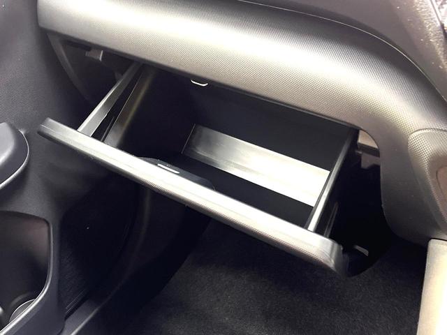 ライズ Ｘ　登録済未使用車　衝突被害軽減システム　コーナーセンサー　スマートキー　ＬＥＤヘッド　オートライト　横滑り防止装置　アイドリングストップシステム　バニティミラー　エアコン（57枚目）