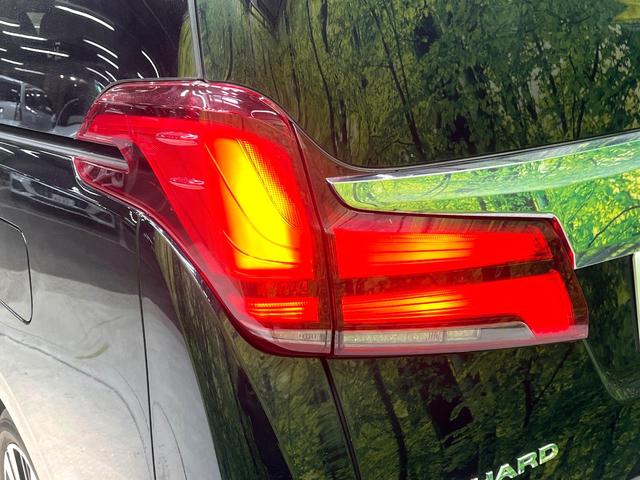 アルファード ２．５Ｓ　Ｃパッケージ　禁煙車　ツインムーンルーフ　両側電動スライドドア　セーフティセンス　レーダークルーズ　純正ディスプレイオーディオ　バックカメラ　ＥＴＣ　ドラレコ　快適温熱シート　パワーシート　ステアリングヒーター（29枚目）