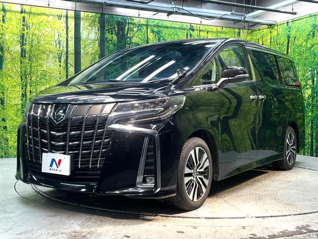 アルファード ２．５Ｓ　Ｃパッケージ　禁煙車　ツインムーンルーフ　両側電動スライドドア　セーフティセンス　レーダークルーズ　純正ディスプレイオーディオ　バックカメラ　ＥＴＣ　ドラレコ　快適温熱シート　パワーシート　ステアリングヒーター（31枚目）