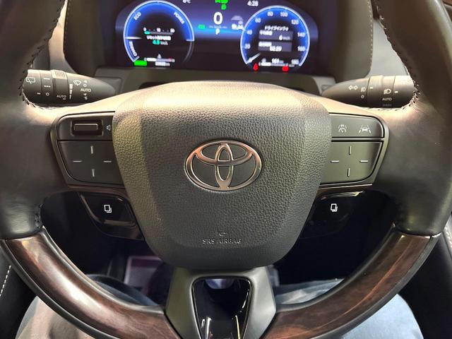 アルファードハイブリッド Ｚ　禁煙車　ガラスルーフ　両側電動スライドドア　後席モニター　衝突軽減システム　レーダークルーズ　純正１４インチディスプレイオーディオプラス　全周囲カメラ　フルセグ　ドラレコ　ＥＴＣ２．０（61枚目）