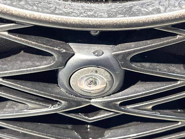 ＲＸ ＲＸ３００　Ｆスポーツ　禁煙車　サンルーフ　純正１２．３ＳＤナビ　全周囲カメラ　衝突被害軽減システム　レーダークルーズ　電動リアゲート　レザーシート　全席シートヒーター　前席シートエアコン　コーナーセンサー　１００Ｖ電源（64枚目）