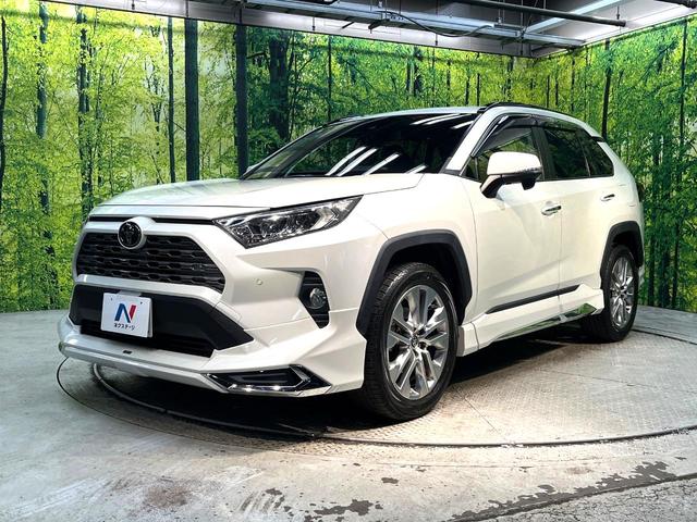 ＲＡＶ４ Ｇ　Ｚパッケージ　禁煙車　純正９型ナビ　衝突軽減装置　レーダークルーズ　ブラインドスポットモニター　合皮シート　デジタルミラー　シートヒーター　バックカメラ　パワーシート　ＥＴＣ２．０　パワーバックドア（21枚目）