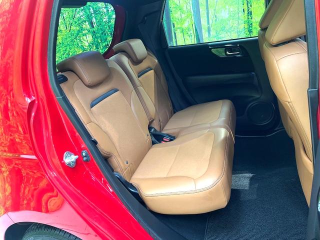 �㕔���Ȃ��C�ɂȂ�悤�ȃL�Y�E�����ւ��蓙�A�傫�ȃ_���[�W�͂Ȃ��A�ǍD�ȏ�Ԃł��B