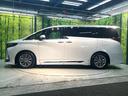 Ｚ　禁煙車　両側電動スライドドア　ガラスルーフ　モデリスタ　衝突軽減装置　レーダークルーズ　全周囲カメラ　フルセグ　ＥＴＣ２．０　Ｂｌｕｅｔｏｏｔｈ　シートベンチレーション　パワーシート　パワーバックドア（22枚目）