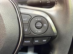 �ڥ졼�������롼������ȥ�����۹�®ƻϩ�Ǥ�Ĺ��Υ���Ԥ��ڤˡ�����ư��®�٤��ݤĥ��롼������ȥ����뤬�����ͷڸ������ƥ��Ϣ�Ȥ��������μ�ξ���Τ��Ƽִ֤��ݤĤ褦��®��Ĵ�ᤷ�Ƥ���ޤ����� 4