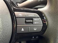 �ڥ����ץƥ��֥��롼������ȥ�����۹�®ƻϩ�Ǥ�Ĺ��Υ���Ԥ��ڤˡ�����ư��®�٤��ݤĥ��롼������ȥ����뤬�����ͷڸ������ƥ��Ϣ�Ȥ��������μ�ξ���Τ��Ƽִ֤��ݤĤ褦��®��Ĵ�ᤷ�Ƥ���ޤ����� 4