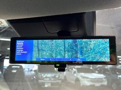 �ڥ���ƥꥸ����ȥ롼��ߥ顼�۸��ʤ��礭�ʲ�ʪ��Ʊ��ԤǸ�������ǧ���Ť餤���Ǥ�¿�������餬���Ƥ�����ξ�����α�����롼��ߥ顼���ɽ�������ꥢ�ʻ볦�Ǿ����γ�ǧ����ǽ�Ǥ��� 7