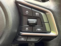 ������®�ɽ���ǽ�ե��롼������ȥ�����۹�®ƻϩ�Ǥ�Ĺ��Υ���Ԥ��ڤˡ�����ư��®�٤��ݤĥ��롼������ȥ����뤬�����ͷڸ������ƥ��Ϣ�Ȥ��������μ�ξ���Τ��Ƽִ֤��ݤĤ褦��®��Ĵ�ᤷ�Ƥ���ޤ����� 4