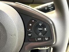 �ڥ����ץƥ��֥��롼������ȥ�����۹�®ƻϩ�Ǥ�Ĺ��Υ���Ԥ��ڤˡ�����ư��®�٤��ݤĥ��롼������ȥ����뤬�����ͷڸ������ƥ��Ϣ�Ȥ��������μ�ξ���Τ��Ƽִ֤��ݤĤ褦��®��Ĵ�ᤷ�Ƥ���ޤ����� 5