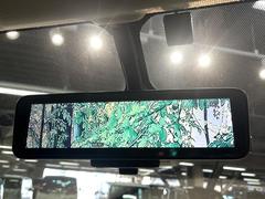 �ڥ���ƥꥸ����ȥ롼��ߥ顼�۸��ʤ��礭�ʲ�ʪ��Ʊ��ԤǸ�������ǧ���Ť餤���Ǥ�¿�������餬���Ƥ�����ξ�����α�����롼��ߥ顼���ɽ�������ꥢ�ʻ볦�Ǿ����γ�ǧ����ǽ�Ǥ��� 7