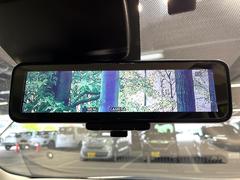 �ڥ���ƥꥸ����ȥ롼��ߥ顼�۸��ʤ��礭�ʲ�ʪ��Ʊ��ԤǸ�������ǧ���Ť餤���Ǥ�¿�������餬���Ƥ�����ξ�����α�����롼��ߥ顼���ɽ�������ꥢ�ʻ볦�Ǿ����γ�ǧ����ǽ�Ǥ��� 7