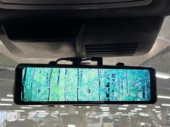 �ڥǥ�����롼��ߥ顼�۸��ʤ��礭�ʲ�ʪ��Ʊ��ԤǸ�������ǧ���Ť餤���Ǥ�¿�������餬���Ƥ�����ξ�����α�����롼��ߥ顼���ɽ�������ꥢ�ʻ볦�Ǿ����γ�ǧ����ǽ�Ǥ��� 7