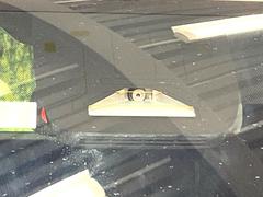 �ڥȥ西�����եƥ����󥹡�������������μ�ξ����ǧ���������ͤ������ʻ��Ϸ���ȥ֥졼���Ǿ��Ͳ�����ﳲ�ڸ��򥢥����ȡ��������˥ɥ饤�֤򤪳ڤ��ߤ��������ޤ��� 6