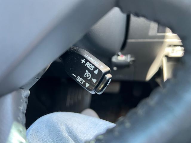 ヴェルファイア ２．４Ｚ　プラチナセレクションＩＩ（24枚目）