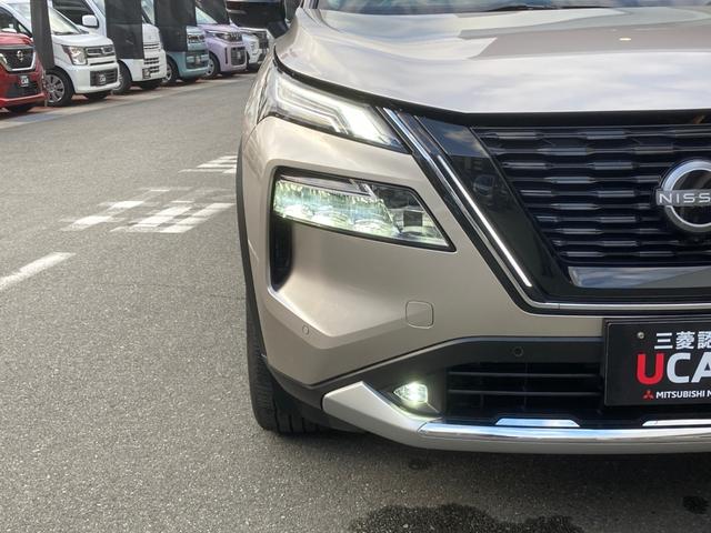 �_�ΗނȂǂɂ��܂��Ă͓_���܂��Ԍ����Ɋm�F���܂��̂ł����S��������