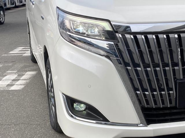 �_�ΗނȂǂɂ��܂��Ă͓_���܂��Ԍ����Ɋm�F���܂��̂ł����S��������