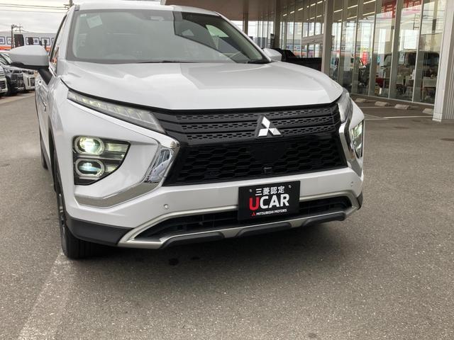 �_�ΗނȂǂɂ��܂��Ă͓_���܂��Ԍ����Ɋm�F���܂��̂ł����S���������B