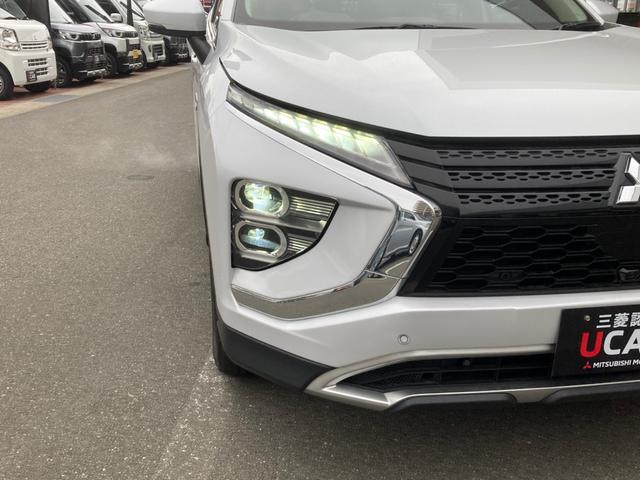 �_�ΗނȂǂɂ��܂��Ă͓_���܂��Ԍ����Ɋm�F���܂��̂ł����S���������B