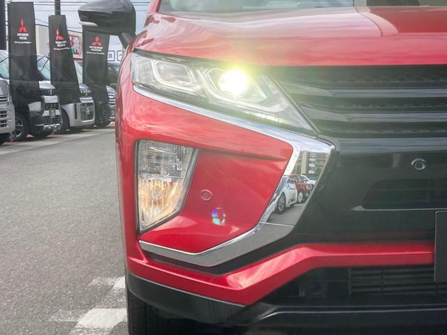 �_�ΗނȂǂɂ��܂��Ă͓_���܂��Ԍ����Ɋm�F���܂��̂ł����S���������B