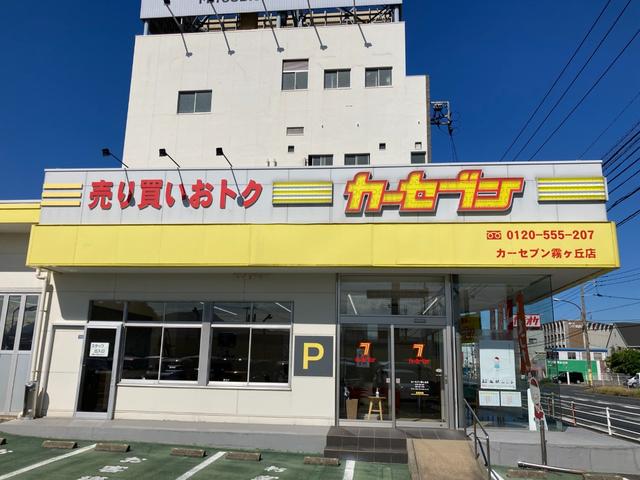 ＣＲ－Ｖハイブリッド ｅ：ＨＥＶ　ＥＸ・マスターピース　衝突被害軽減Ｂ　横滑り防止装置　サンルーフ　クルーズコントロール　ソナー　バックモニター　盗難防止システム　スマートキー　本革シート　電動バックドア　ステアリングヒーター　シートヒーター（前後）（66枚目）